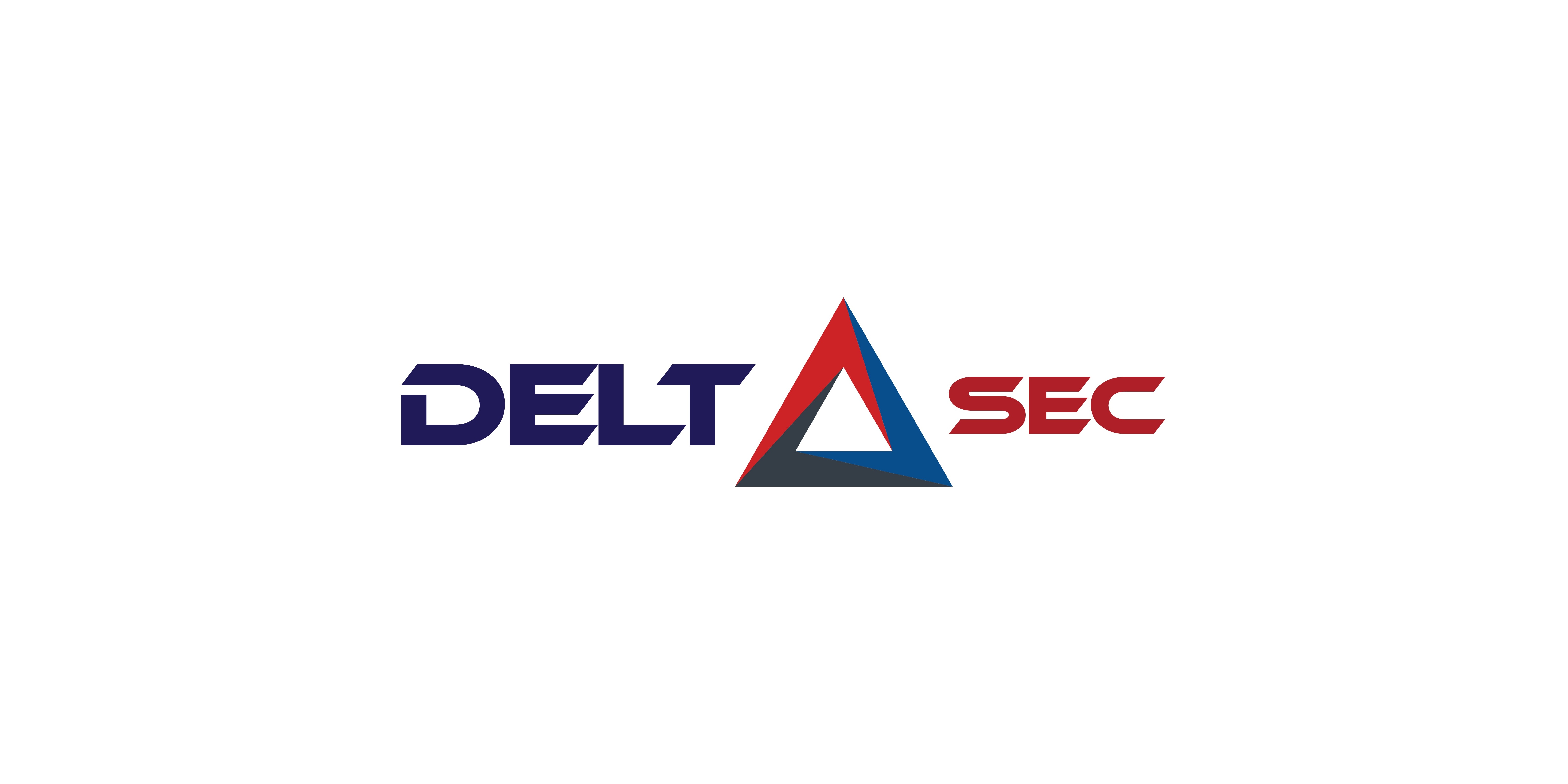 DELTA-SEC PLUSZ Kft logo